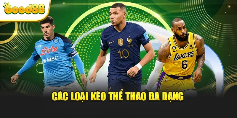 Các loại kèo thể thao đa dạng