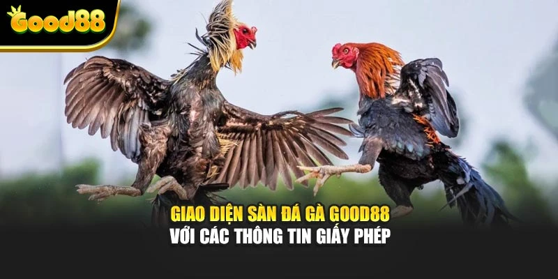 Giao diện sàn đá gà Good88 với các thông tin giấy phép