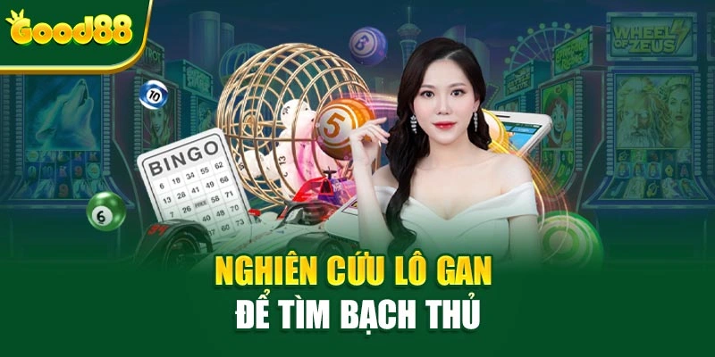 Nghiên cứu lô gan để tìm bạch thủ