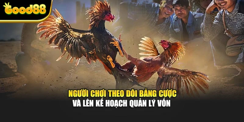 Người chơi theo dõi bảng cược và lên kế hoạch quản lý vốn 