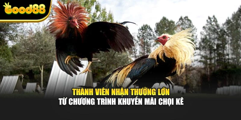 Thành viên nhận thưởng lớn từ chương trình khuyến mãi chọi kê